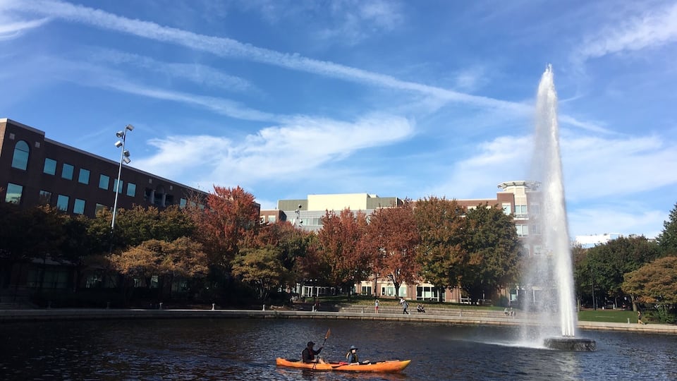Relaxing walk in Cambridge