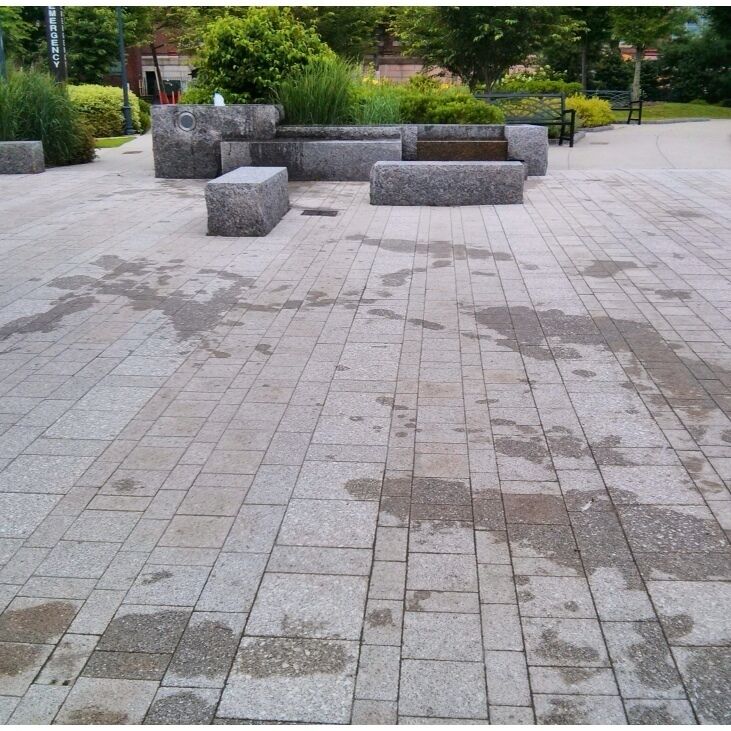 The calm after a water battle. Wheeler park is best place to hang out with kids in a summer afternoon.