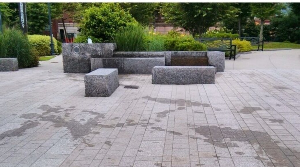 The calm after a water battle. Wheeler park is best place to hang out with kids in a summer afternoon.