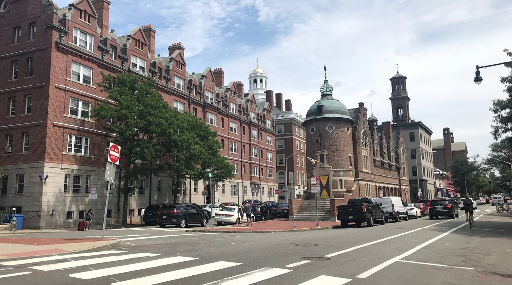 This lovely street is close to Harward Square.