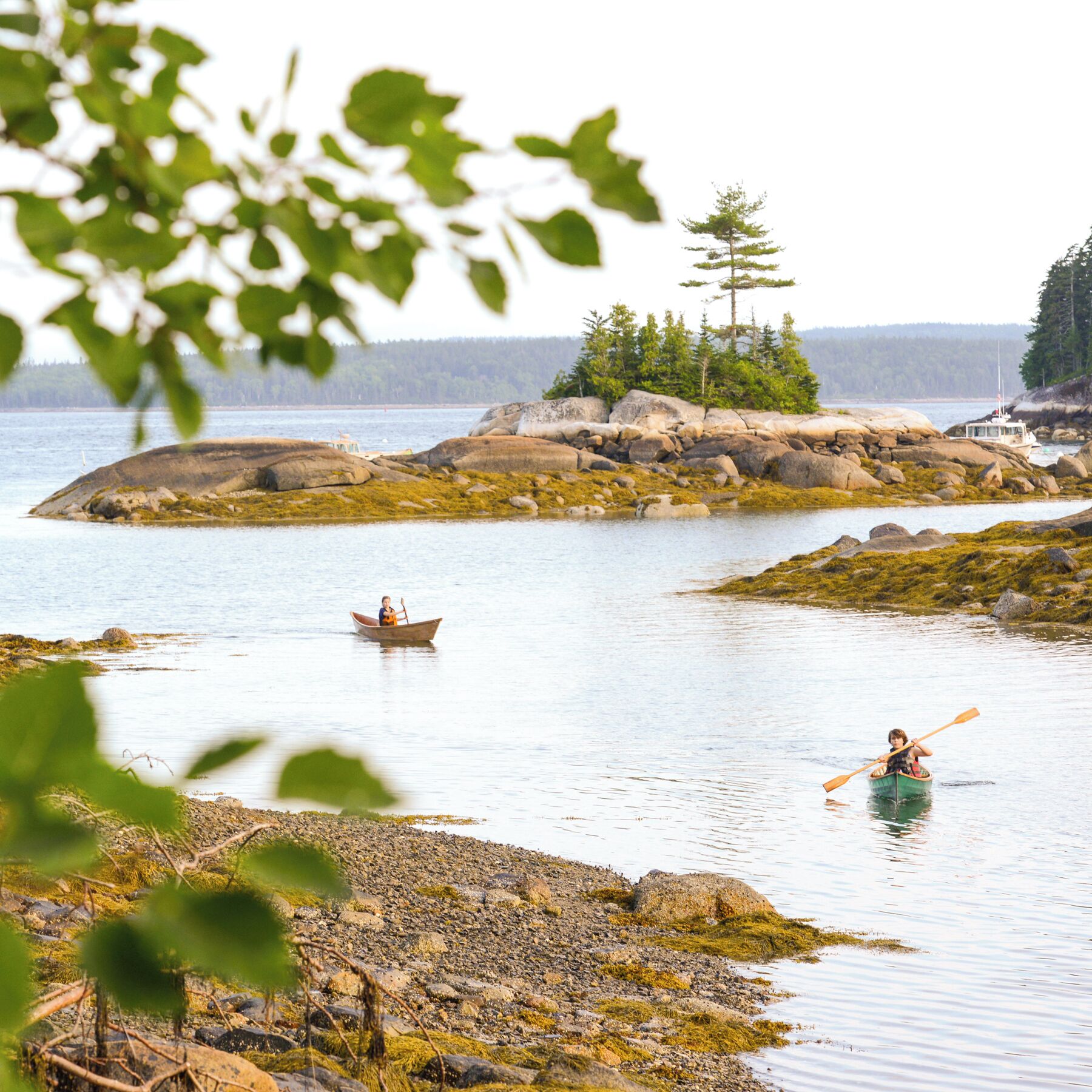 Maine has always been a favorite summer getaway spot of mine and it just keeps getting better every-time I visit and the more I explore. 
This trip we discovered an area near Bar Harbor called Blue Hill. Swimming, canoeing, blueberry picking, lobster eating, hiking and time away from the rat race are just a few of the delights that await a family #WeekendGetaway in Blue Hill.