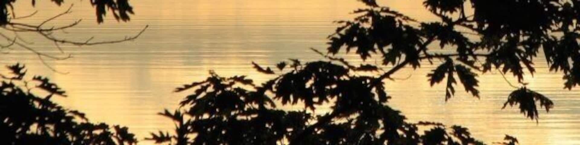 A calm lake with boats, surrounded by trees and distant hills.