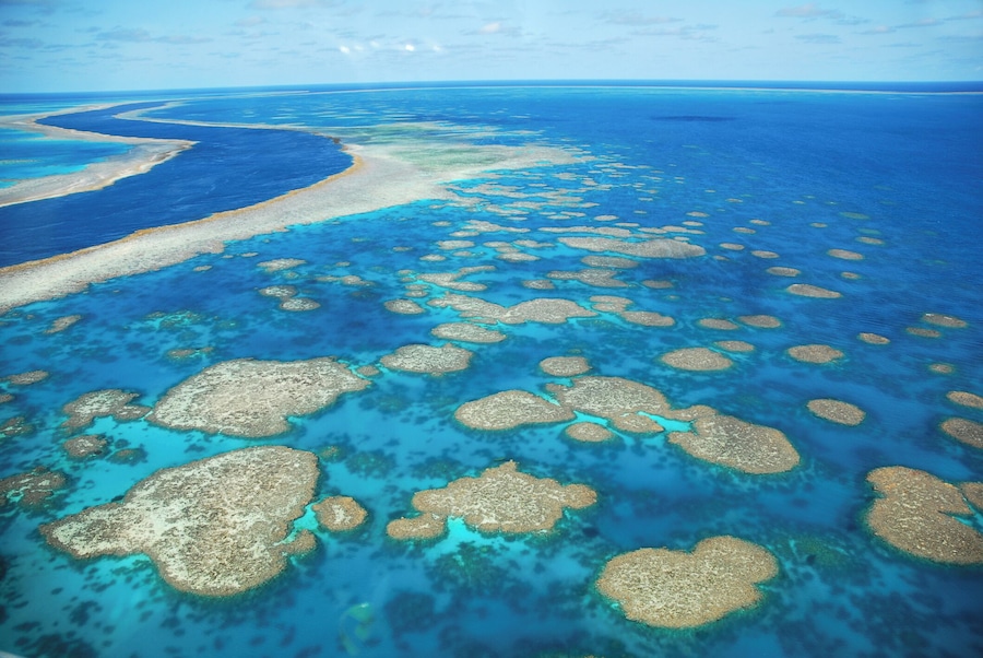 The Reef, Whitsunday Islands, Australia