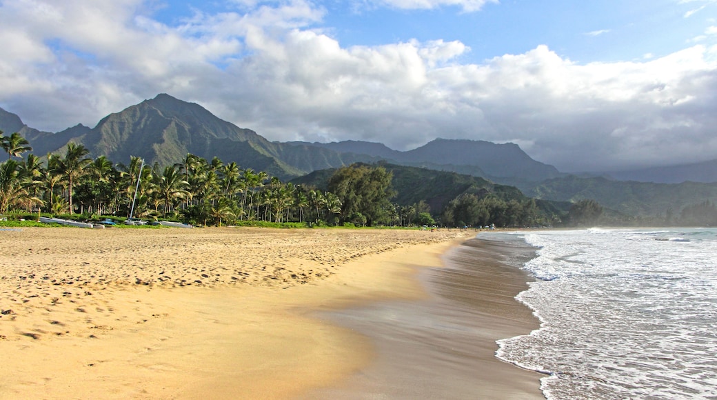 Hanalei Beach