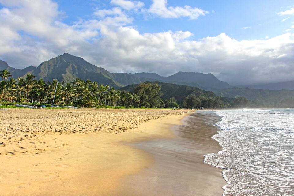 Una spiaggia sabbiosa con palme e montagne sullo sfondo.