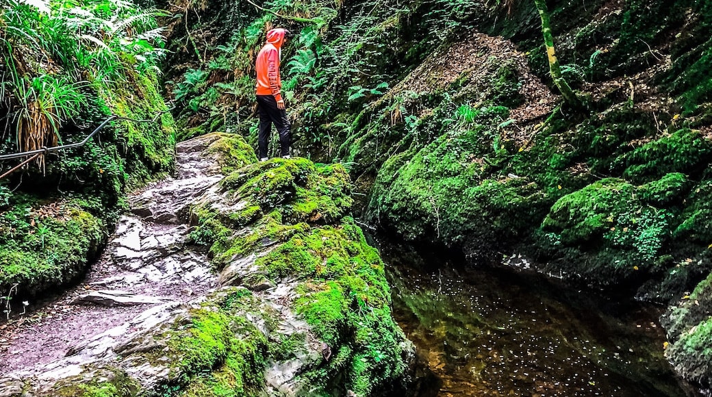 A little hike around Lydford gorge