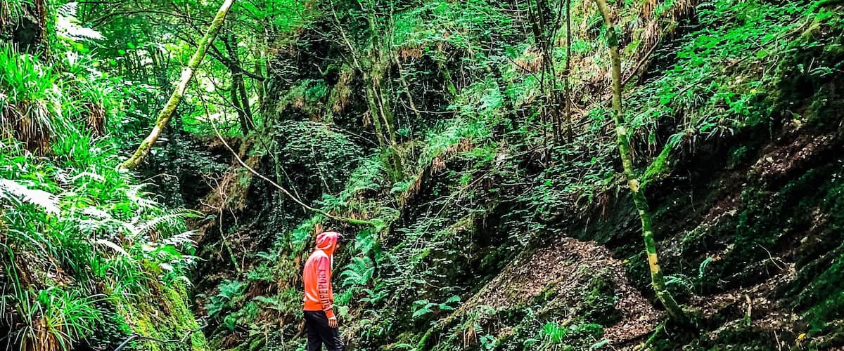 A little hike around Lydford gorge