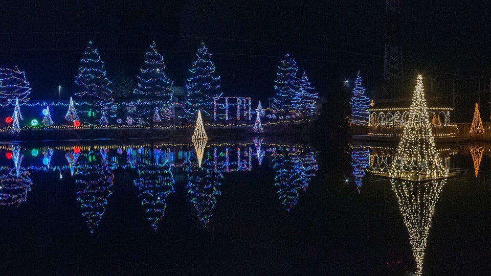 A nighttime view of a lake with reflections of Christmas lights and trees.