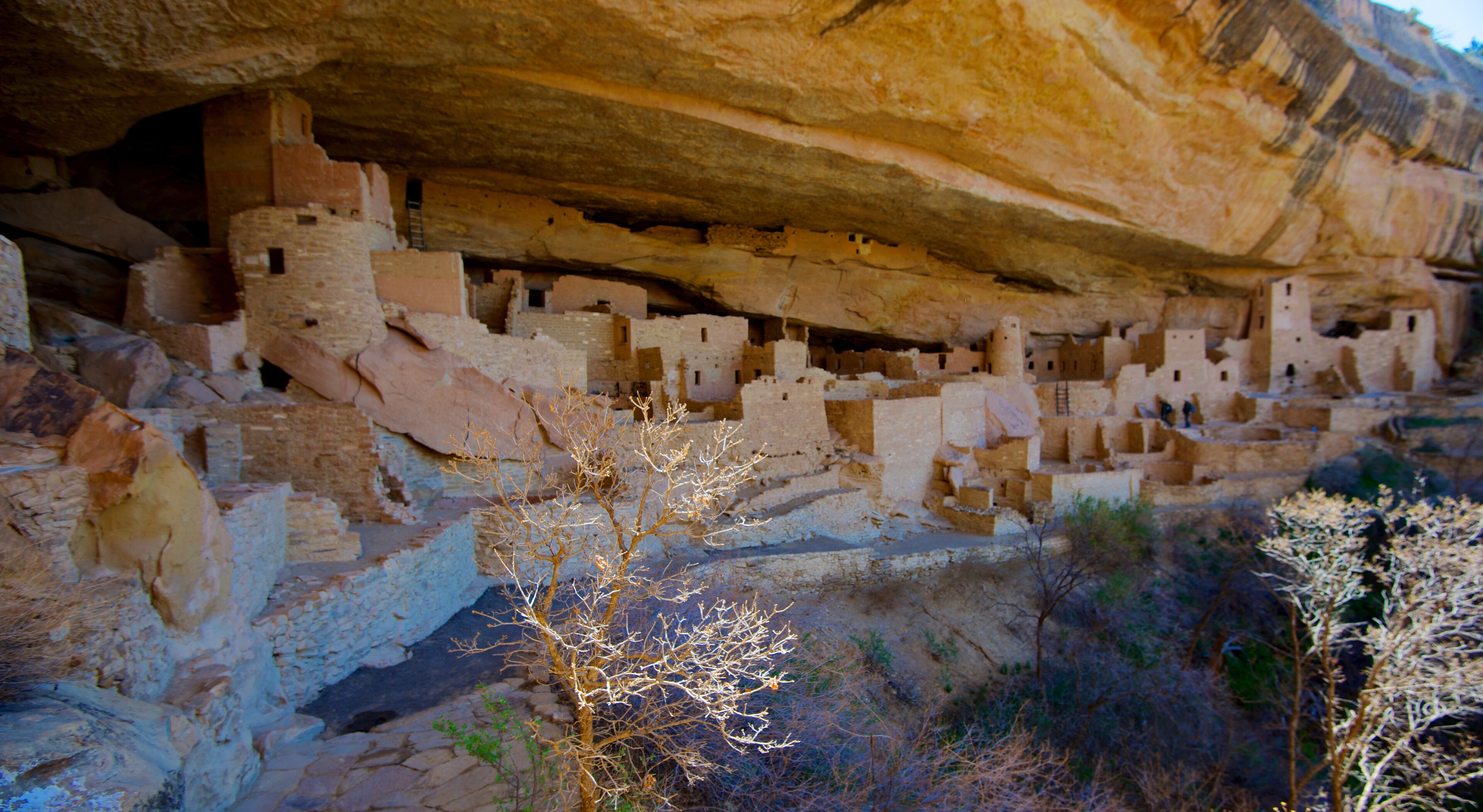 Ancient cliff dwellings with multiple kivas and structures built into the rock face.