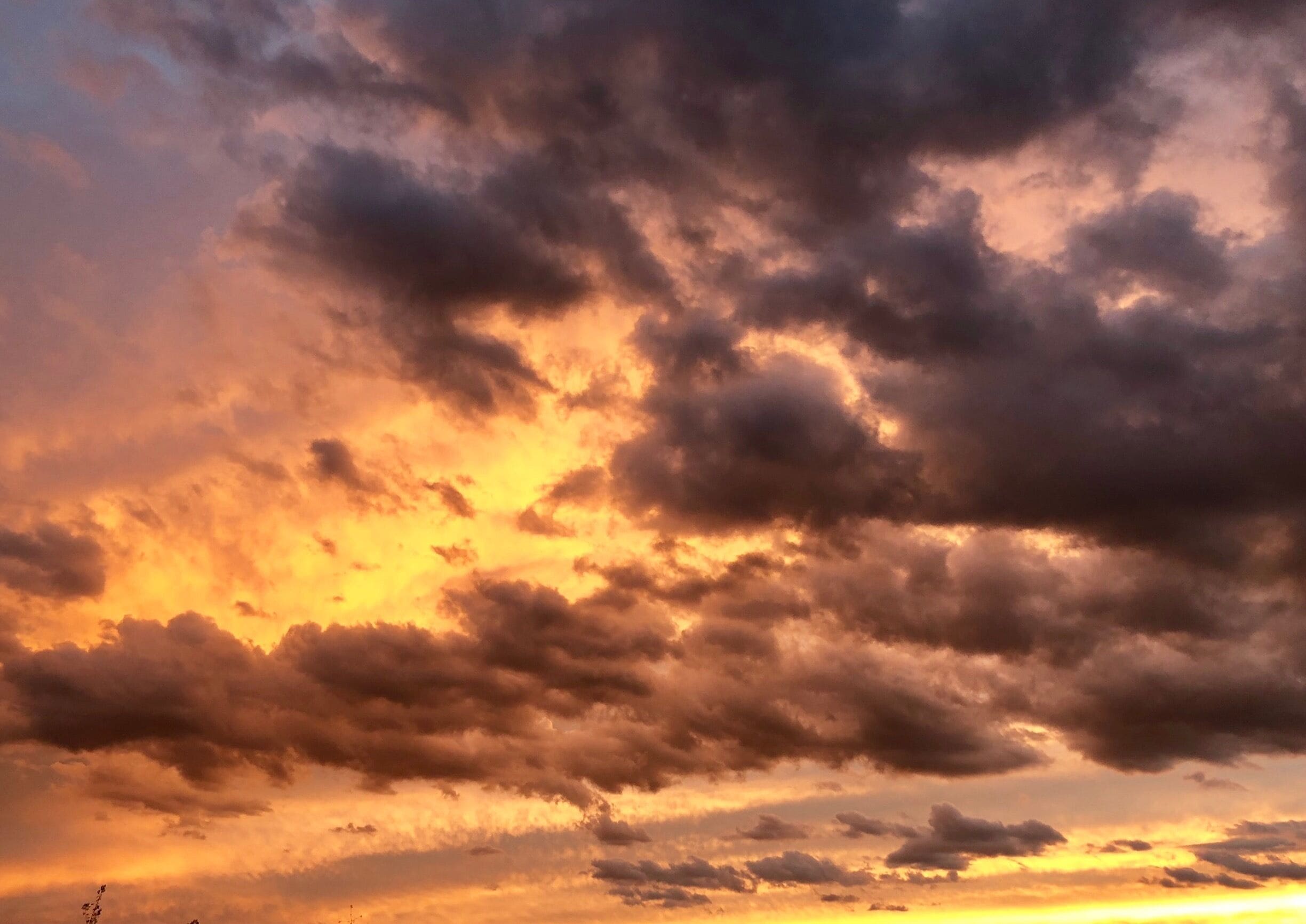 Beautiful sunset this evening.