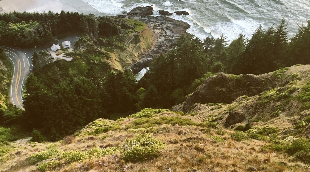 Hiked up Amanda's Trail to the top of the cape through the old Coast Indian Reservation. The trail has a very interesting history worth reading about.