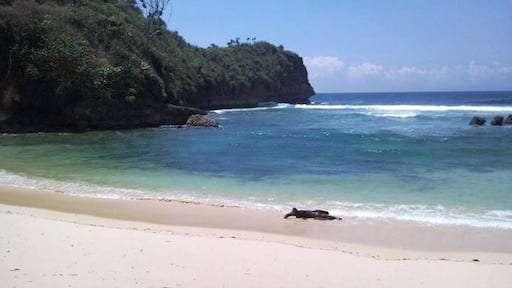 Beautiful and clean beach, not many visitor make it perfect place to enjoy the sightseeing, other than that, this place only 2 hours of drive from the city of Malang.