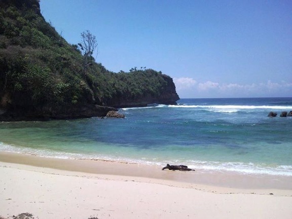 Beautiful and clean beach, not many visitor make it perfect place to enjoy the sightseeing, other than that, this place only 2 hours of drive from the city of Malang.