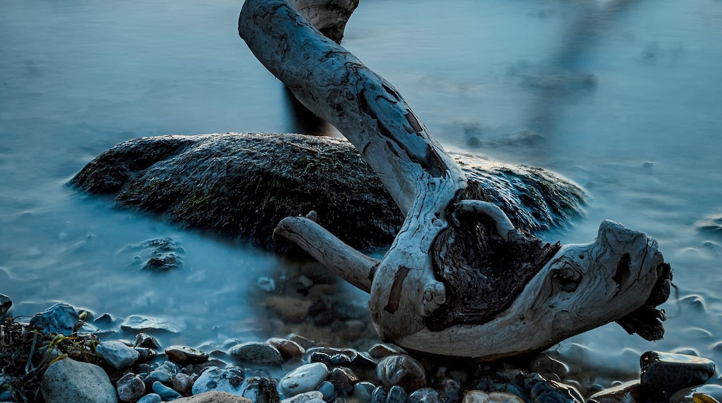 Glumslovs Backar Beachfront