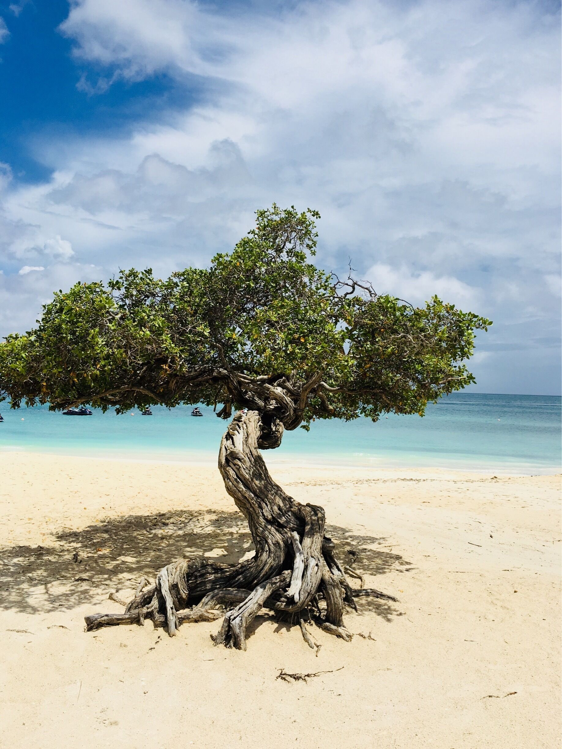 Nice Beach, very Long, sun 👍🌴🏝