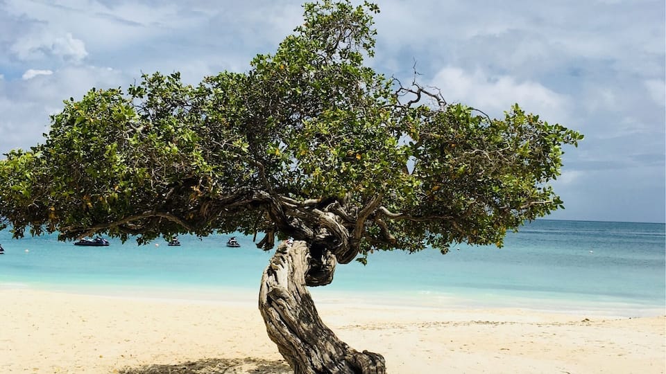 Nice Beach, very Long, sun 👍🌴🏝