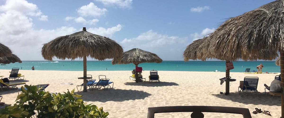 Give me a thatched hit and an iguana.