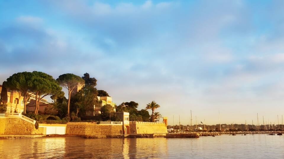 A waterfront with a historic building, palm trees, and a clear sky.