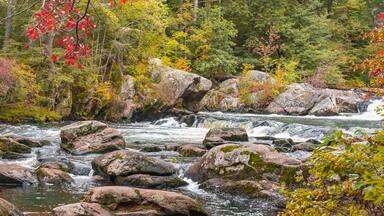 View of a stormy mountain river in September at the Wildcat Falls. Red autumn leaves hang over the river. Merrimack, New Hampshire, USA