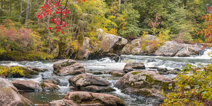 View of a stormy mountain river in September at the Wildcat Falls. Red autumn leaves hang over the river. Merrimack, New Hampshire, USA