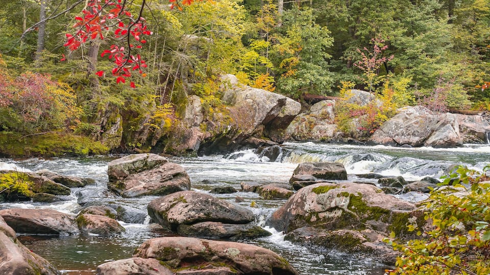 View of a stormy mountain river in September at the Wildcat Falls. Red autumn leaves hang over the river. Merrimack, New Hampshire, USA
