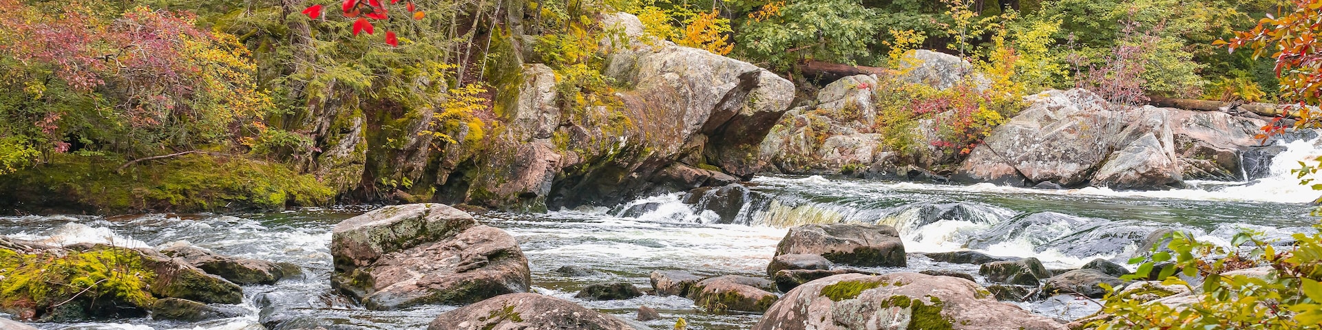 View of a stormy mountain river in September at the Wildcat Falls. Red autumn leaves hang over the river. Merrimack, New Hampshire, USA