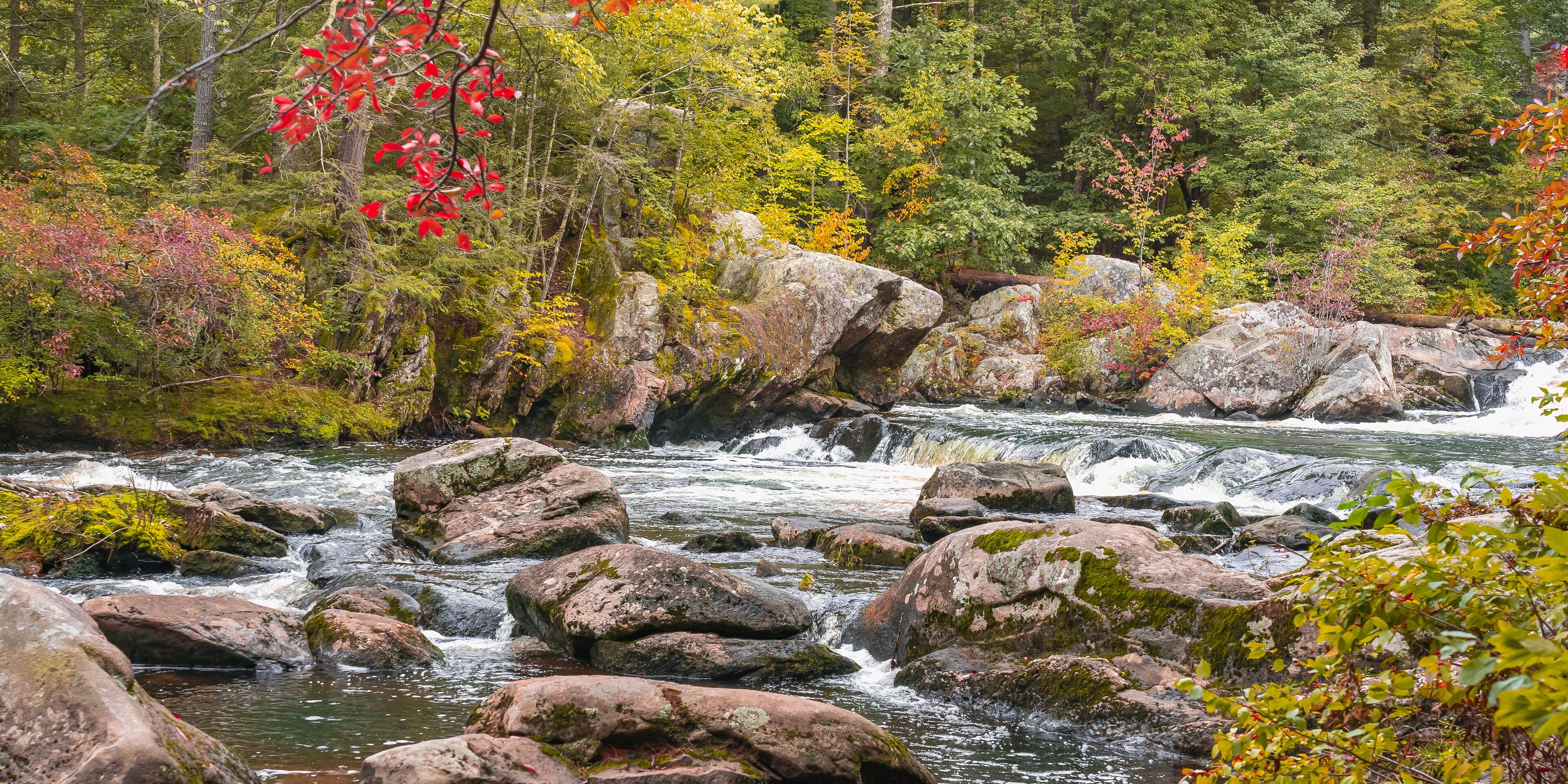 A river flowing over rocks with autumn foliage in the background.