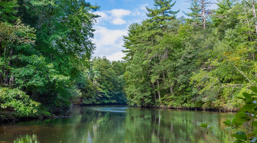 Mirror water Souhegan River near Wildcat Falls, Merrimack, New Hampshire, USA