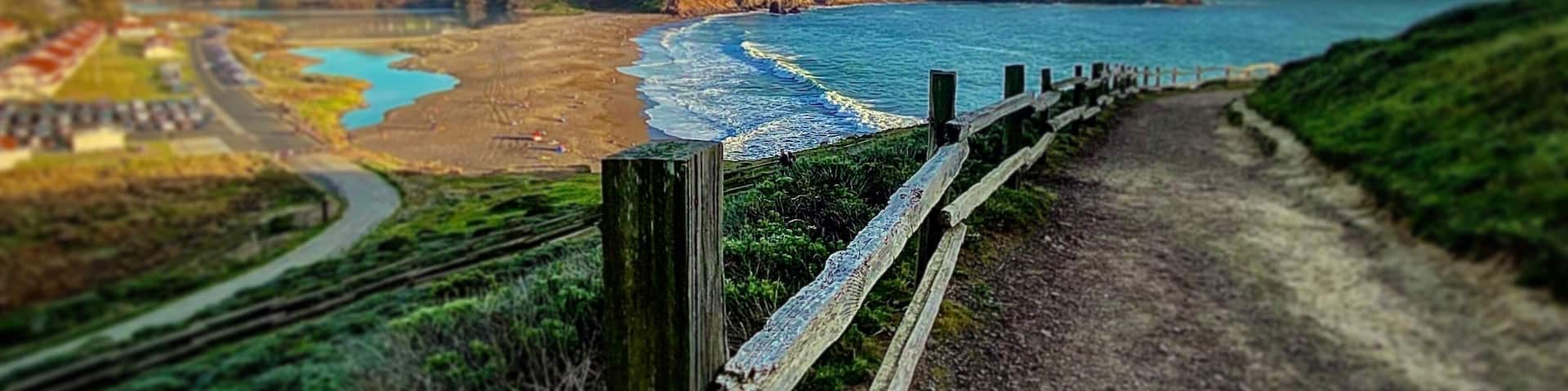 A coastal landscape with a dirt path, wooden fence, and a beach.