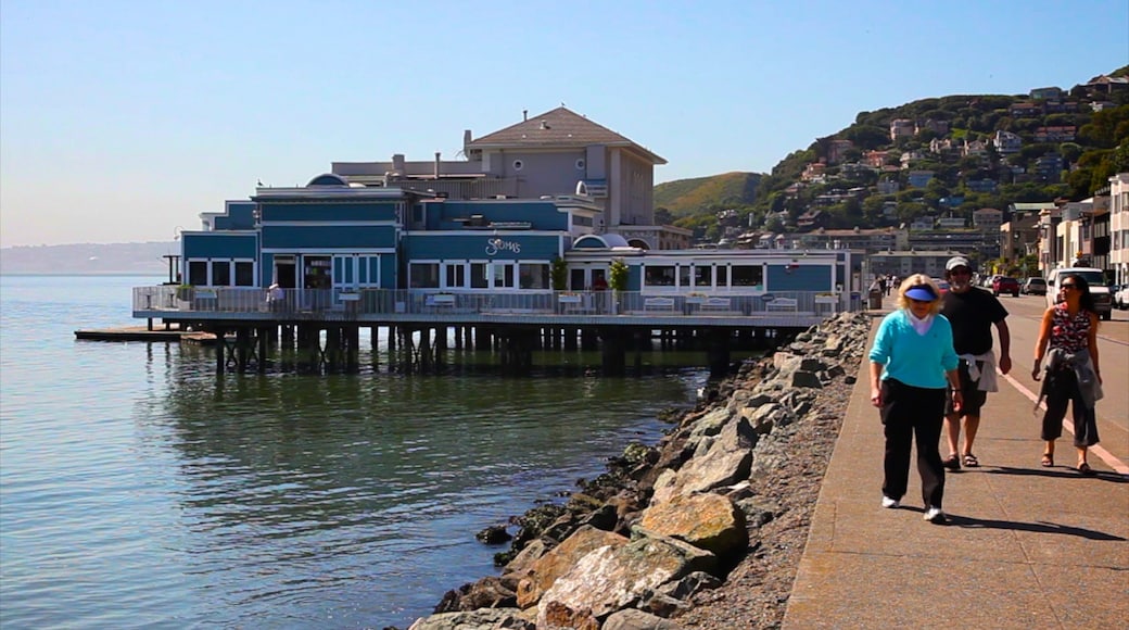Sausalito which includes general coastal views as well as a small group of people