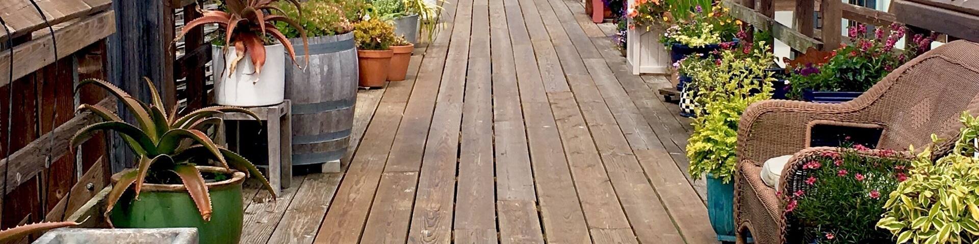 Floating homes of Sausalito