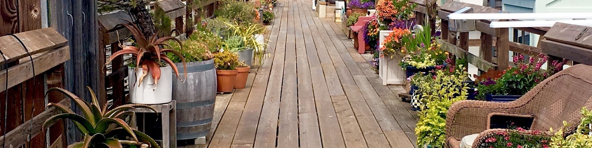 Floating homes of Sausalito