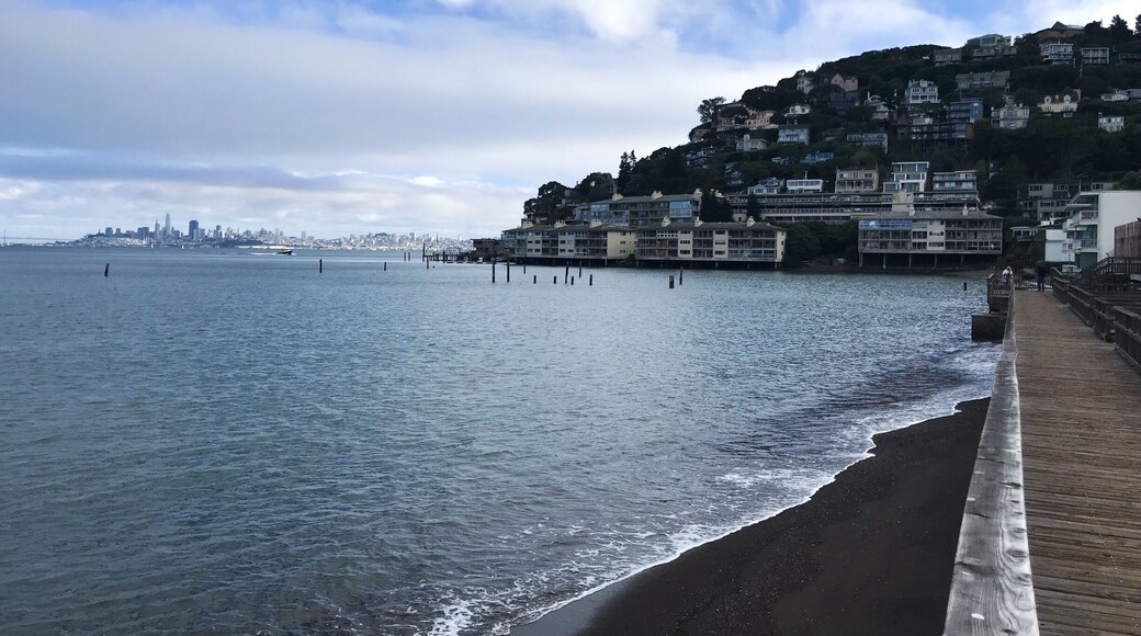 Bike riding from the Golden Gate Bridge to the Sausalito ferry