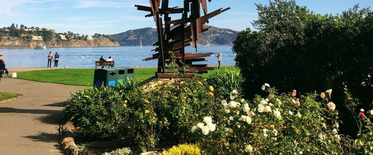 #perspectives 
Scoma's, a nearby restaurant serves delicious seafood and clam chowder.