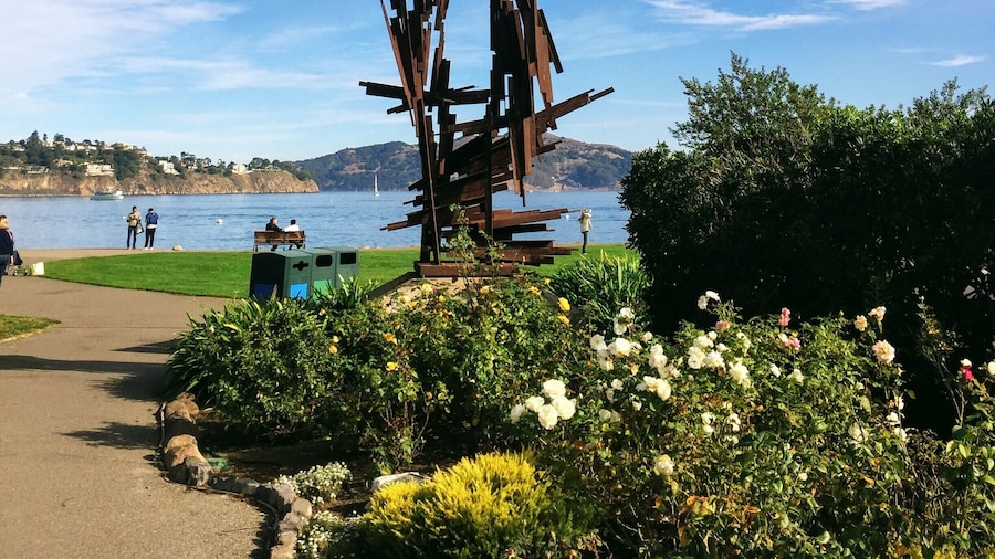 #perspectives
Scoma's, a nearby restaurant serves delicious seafood and clam chowder.