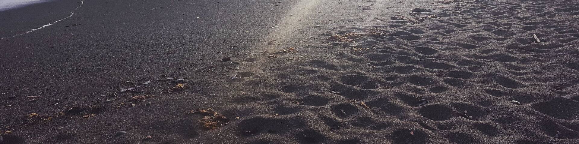 Secret Black sand beach in SF