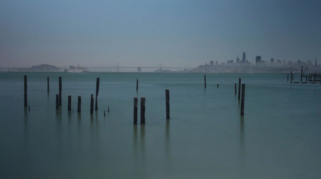 On the right as you come into Sausalito is a small road down to a secluded beach area with good views back towards San Fransisco. Make sure you go to the deli in the supermarket (Golden Gate Market) just up the road to get a pastrami sandwich to eat whilst looking at the view...probably the best sandwich I had in my time in the states.