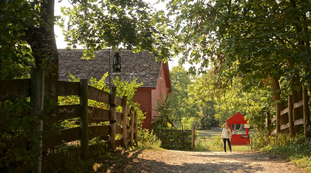 Schaumburg das einen Farmland sowie einzelne Frau