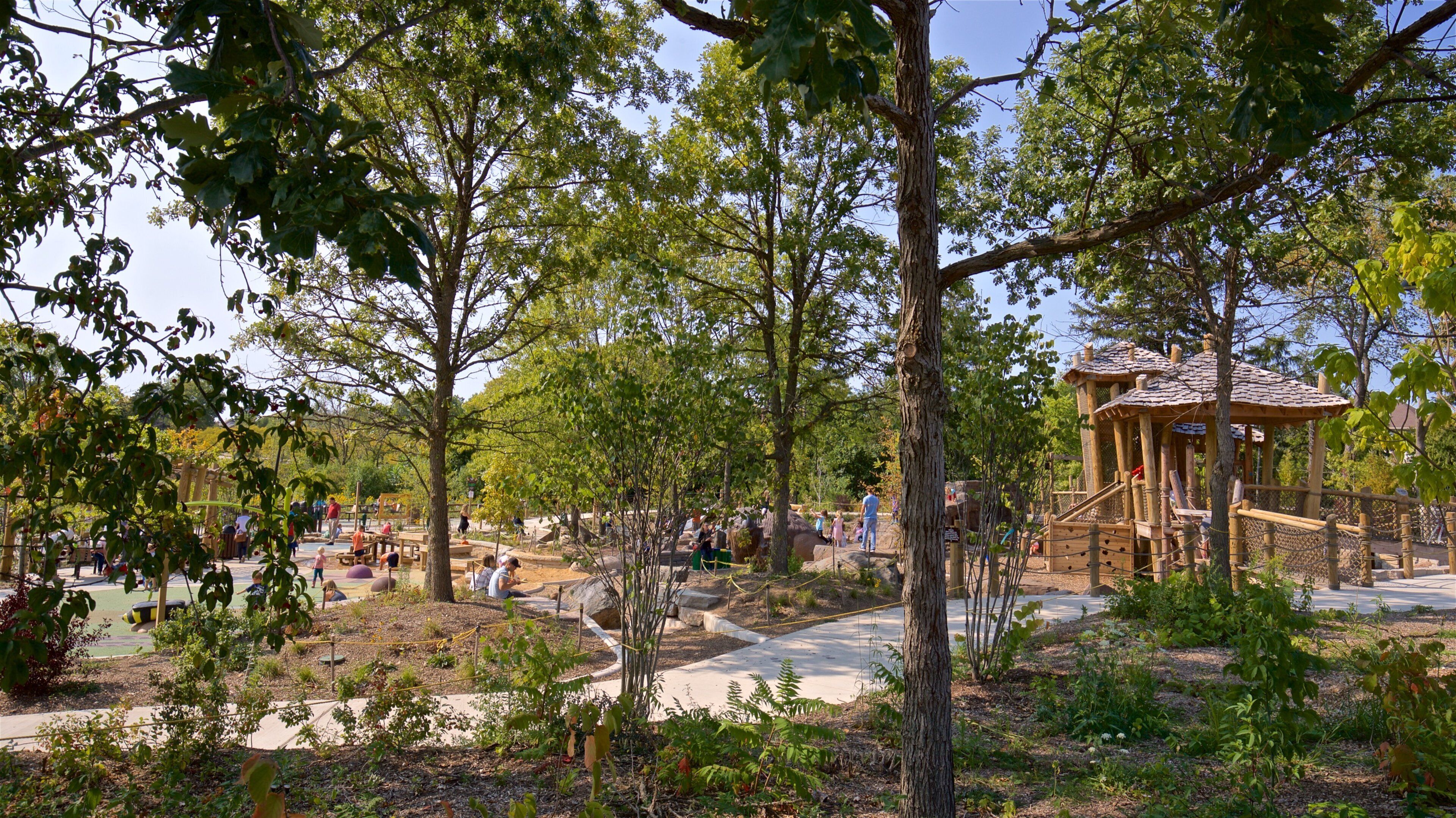Schaumburg ofreciendo un parque y un parque infantil