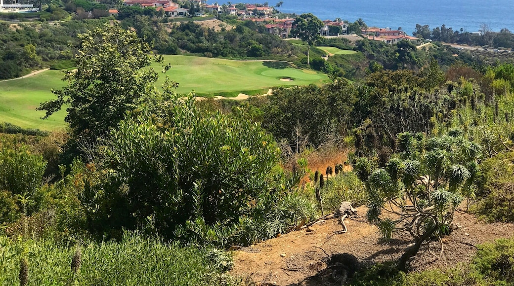 Newport Beach, California