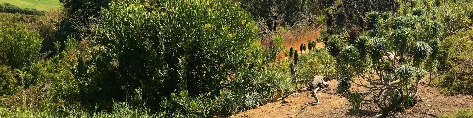 Newport Beach, California