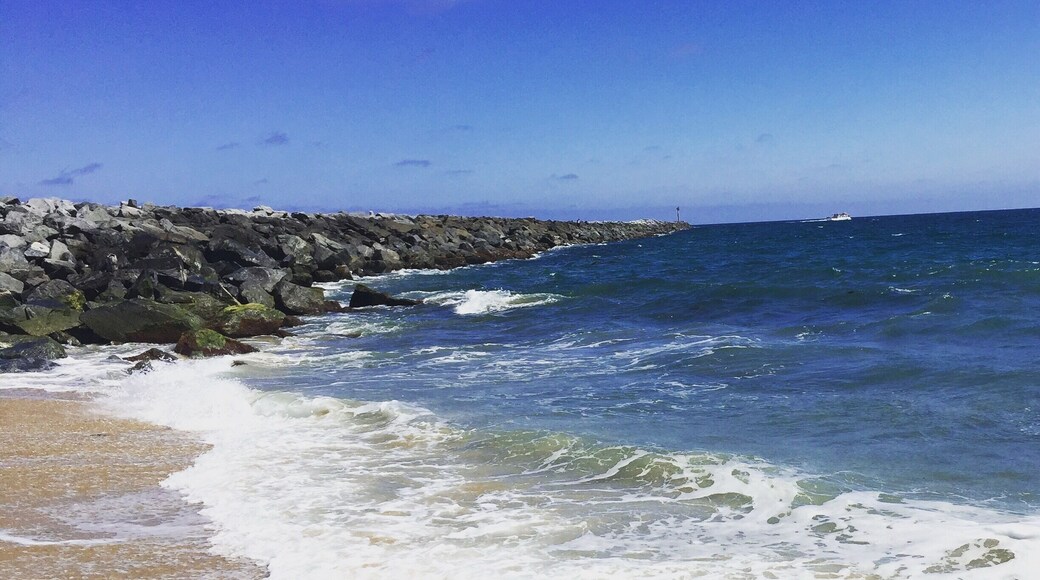 #beach #ocean #waterlust #newportbeach #california