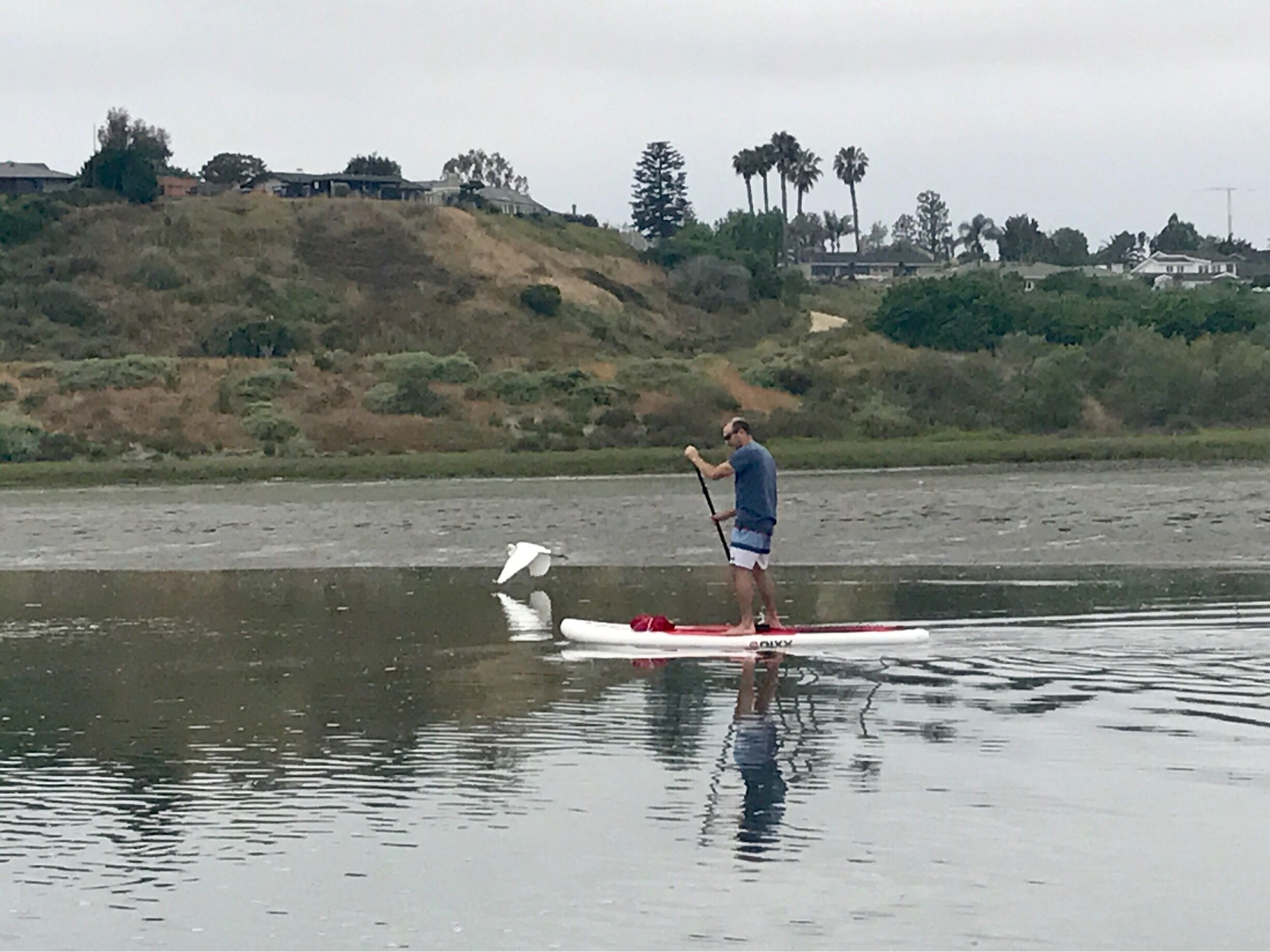 Gorgeous paddle session surrounded by nature with our NIXY Inflatable SUPs