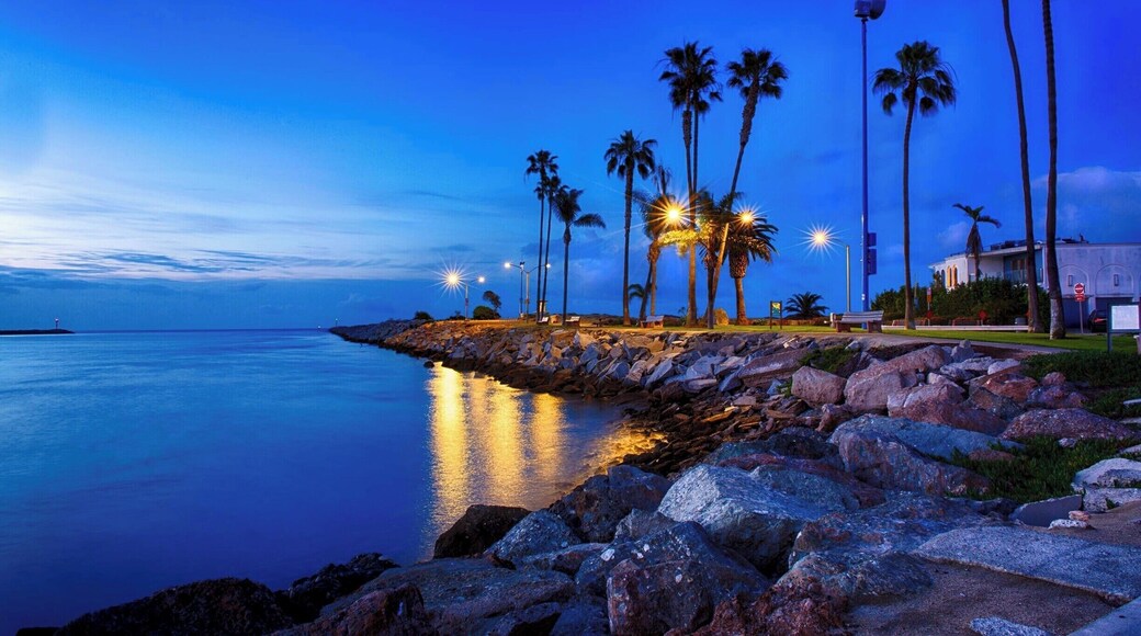 The Wedge