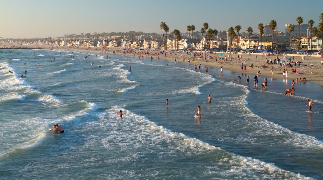 Newport Beach which includes a sandy beach, landscape views and tropical scenes