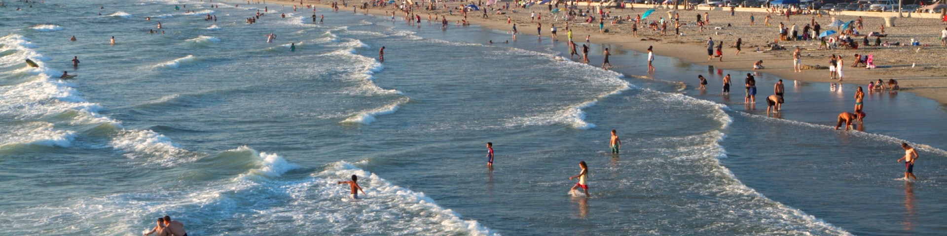 Newport Beach which includes a sandy beach, landscape views and tropical scenes