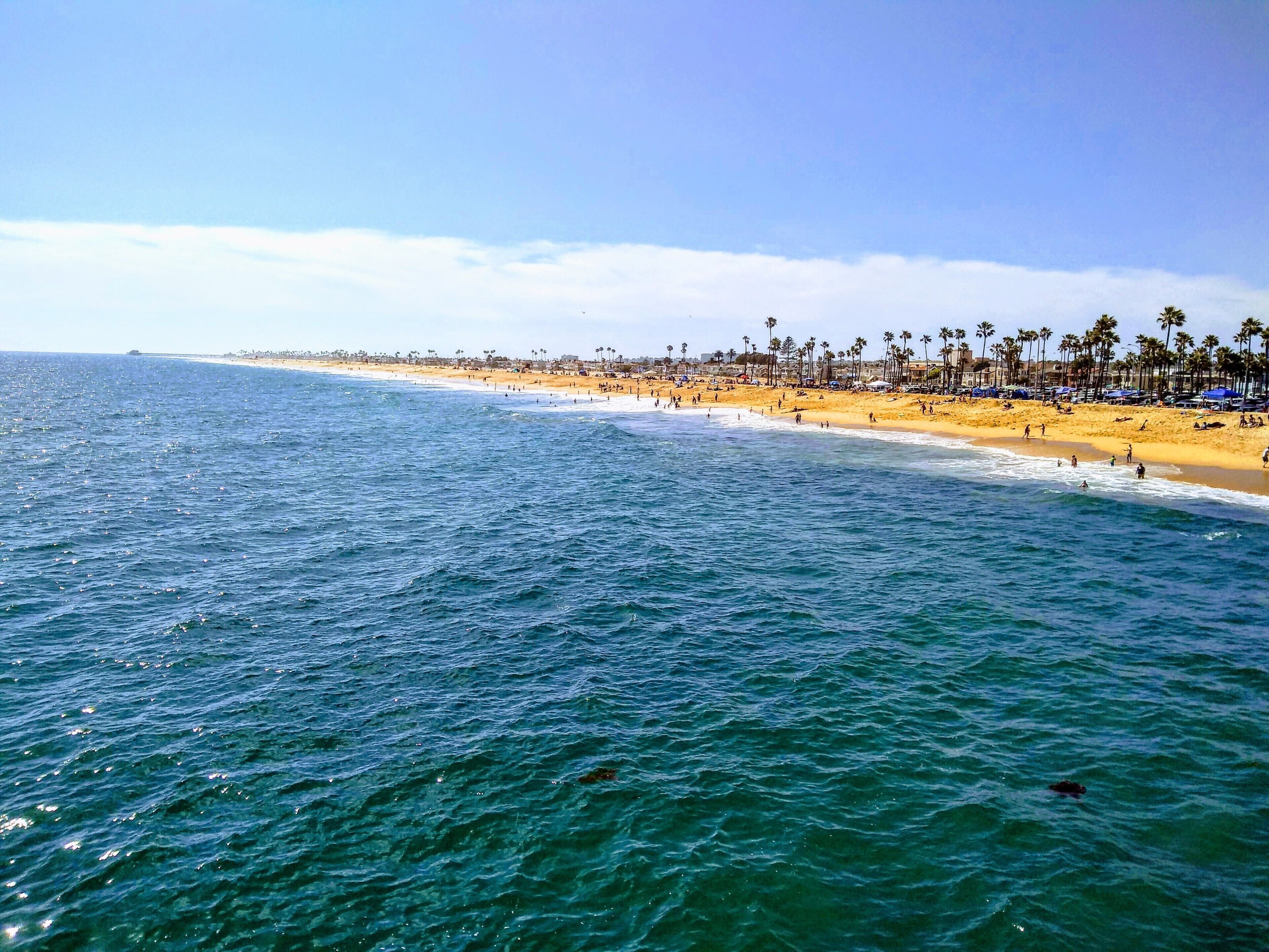 A beach with clear blue water, sandy shore, and palm trees.