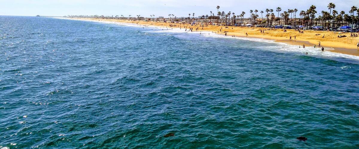 A beach with clear blue water, sandy shore, and palm trees.