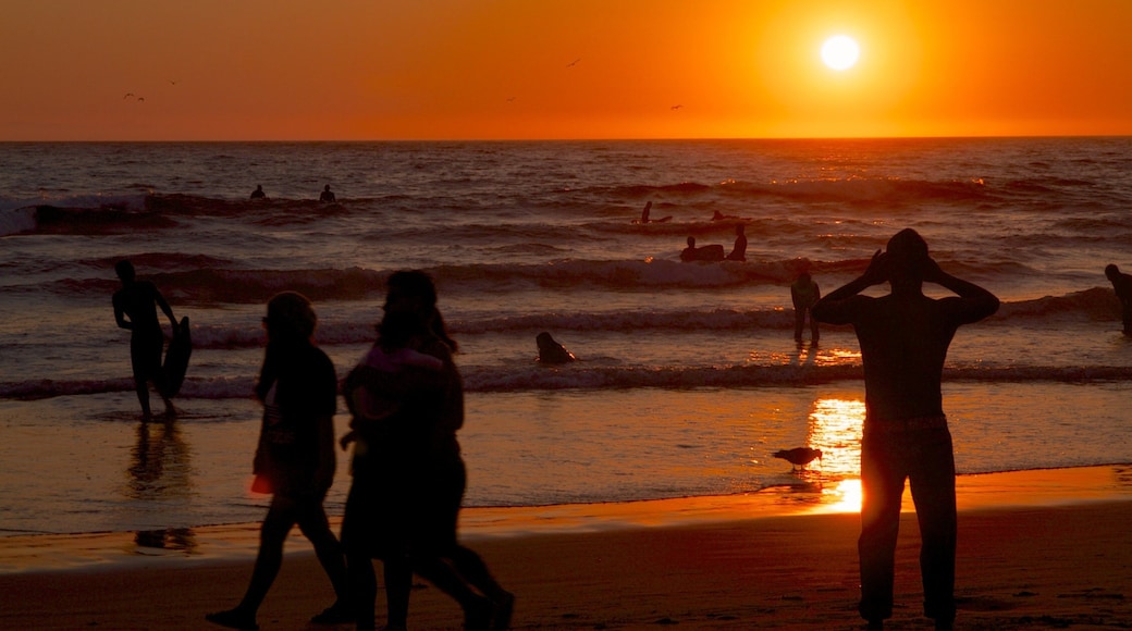 Newport Beach che include tramonto, nuoto e onde