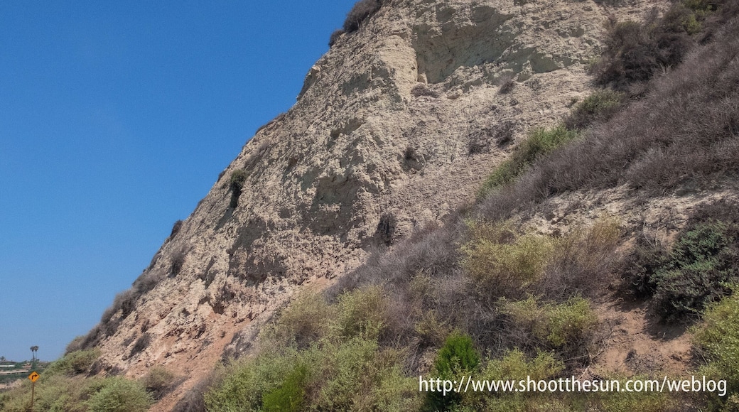 Upper Newport Bay Nature Preserve